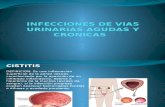 Infecciones Urinarias Agudas y Cronicas