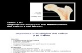 Tema 1.07- Regulación Hormonal Del Metabolismo Del Calcio y Del Fósforo