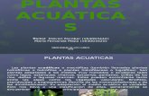 PLANTAS-ACUÁTICAS (1)