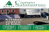 Campo Salmantino Enero 2016