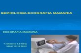 Cortes Ecograficos de Mama-tiroides -Testiculo