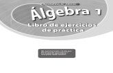 Algebra 1 Practica Spanish