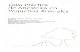 Guia Practica de Anestesia en Pequeños Animales (Vladimir Galindo)