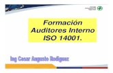 Auditoria 14001