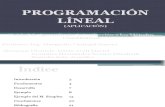 Programación Lineal JAN