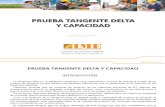 Prueba Tangente Delta y Capacidad IME S.a. (1)