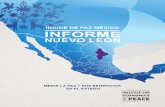 Informe Nuevo León