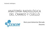 Anatomía Radiológica Del Craneo y Cuello