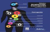 Anatomía de la Corrupción: Maria Amparo Casar