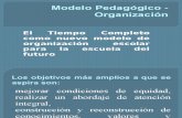 Modelo Pedagógico - Organización Presentación