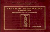 Atlas de Medicina Chinesa Meridianos e Colaterais - Auteroche