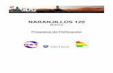 Programa de Perforación pozo Naranjillos 120.pdf