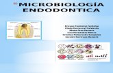 Expo de Endo_ Microbiología Endodóntica