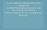 Las siete principales líneas jurisprudenciales de la Corte IDH aplicable a la justicia penal.