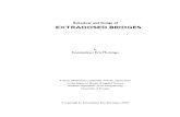 Comportamiento y diseño de puentes extradosados.pdf