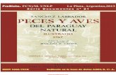 PECES Y AVES DEL PARAGUAY NATURAL - SANCHEZ LABRADOR - 1767 - PORTALGUARANI