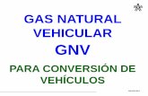 Gas Natural Vehicular Gnv