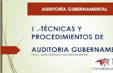 Técnicas y Procedimientos de Auditoria Gubernamental
