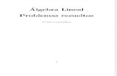 Algebra Lineal Problemas Resueltos - María Isabel García Planas