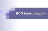 Ecg Presentation 2013