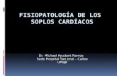 Fisiopatología de Los Soplos Cardiacos
