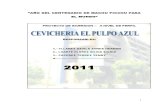 PI - CEVICHERIA EL  PULPO AZUL PARA JUNIO-2013.doc