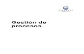 Manual 2014-II 03 Gestión de Procesos (0490).pdf