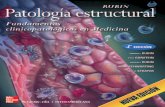 Extracto de Patología Estructural.