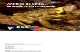 Conservacion de Anfibios de Chile - Desafíos Para Su Conservación (2013)