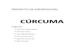 Curcuma Word