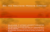 Sx Neurona Motora Inferior