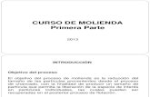 molienda-130806121122-phpapp01 (1).pptx