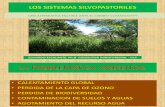 Los Sistemas Silvopastoriles.prof.Eduardo Escalante