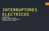 Interruptores Electricos y de Potencia