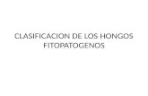 CLASIFICACION DE LOS HONGOS FITOPATOGENOS.pptx