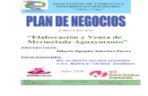 Mermelada de Aguaymanto-plan de Negocio Para Enviar (1) (1)