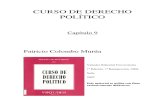 Curso de Derecho Politico - Capitulo 09