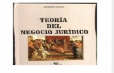 06. Teoría del Negocio Juridico.pdf