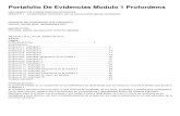 Portafolio De Evidencias Modulo 1 Profordems.docx