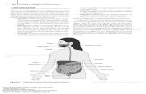 Anatom a y Fisiolog a Del Cuerpo Humano 217 to 245