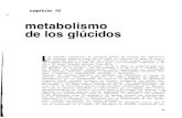 Metabolismo de Los Glucidos