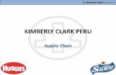 Kimberly Clark - Inventario