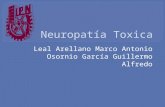 Neuropatía Toxica Alumnos.pptx