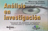 Analisis en Investigacion 2009