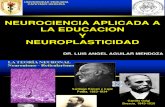 1 Neuroeducacion y Plasticidad Arequipa 2014