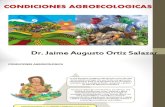 CONDICIONES AGROECOLOGICA.pptx