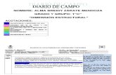 Diario de Campo Finall