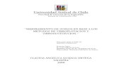 Claudia Quijada - Mejoramiento de suelos en base a vibroflotación y vibrosustitución