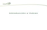 1 MANUAL VULCAN_BASICO V.pdf