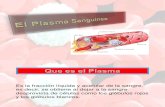 Plasma Sanguineo y Globulos Blancos Agranulocitos.pptx Equipo 6